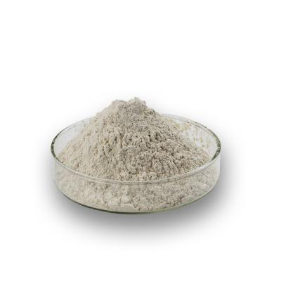 China supply Oat Beta Glucan Powder