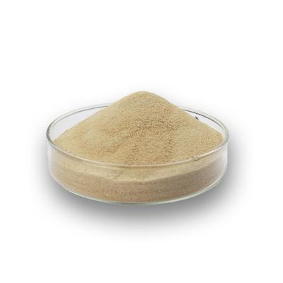Extraction of natural soybean PS Powder  Phosphatidylserine 50%